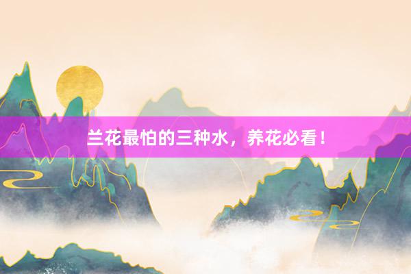 兰花最怕的三种水,养花必看!